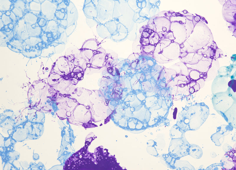Nuvexa 180: Exosome Concentrate